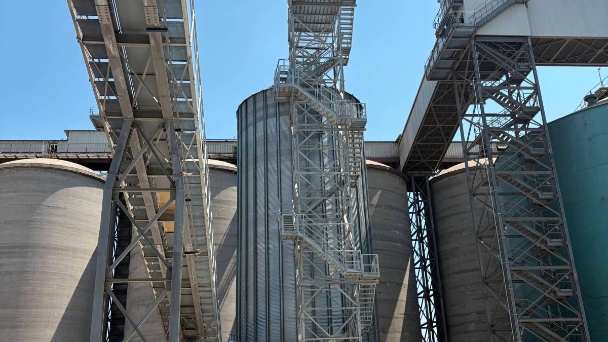 Porto Corsini, Bunge investe 4,4 milioni per la lavorazione della soia