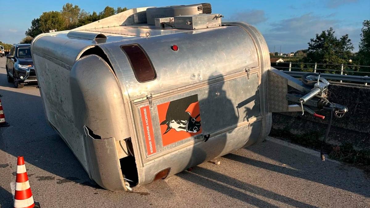 Cesena. Si ribalta un trailer per trasporto cavalli, Secante chiusa