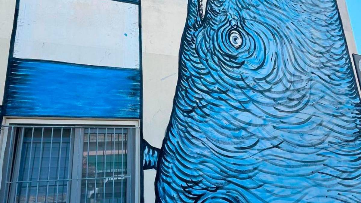 Ravenna, la tartaruga marina diventa opera d‘arte