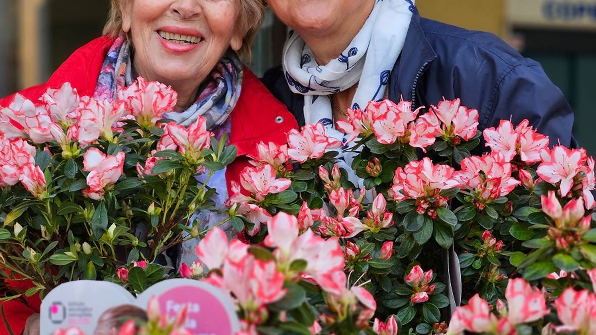 La mamma è sempre la mamma: record di azalee vendute in Romagna dallo Ior - Gallery