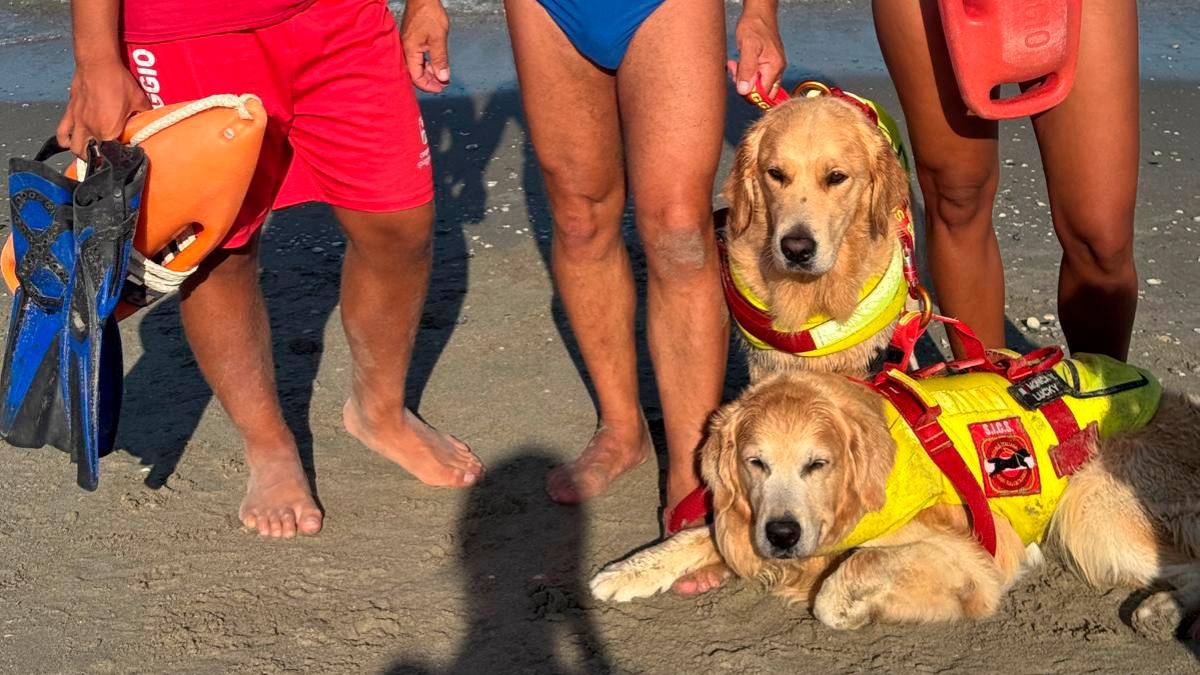 Luke e Lucky con il padrone Paolo Elmo e i bagnini di salvataggio