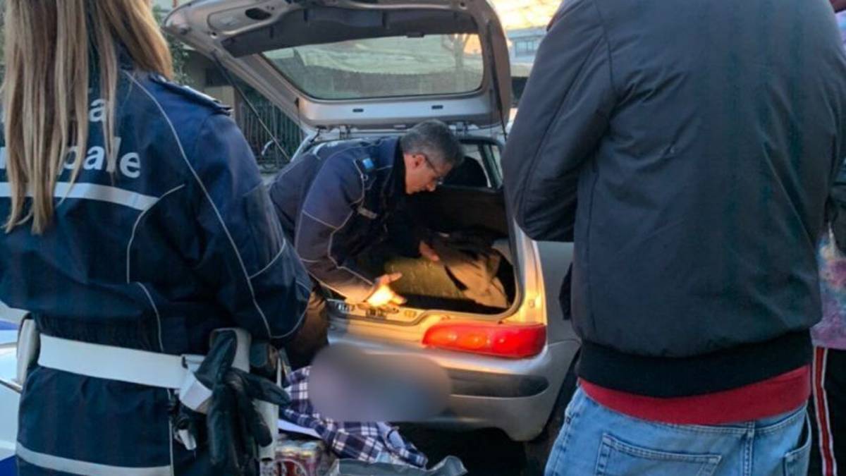Avevano un bazar di droga ambulante, fermati a Savignano