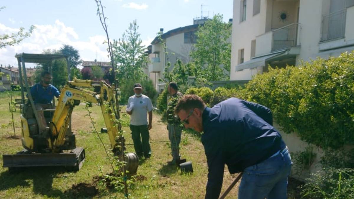 Castel Bolognese, piantati 275 nuovi alberi