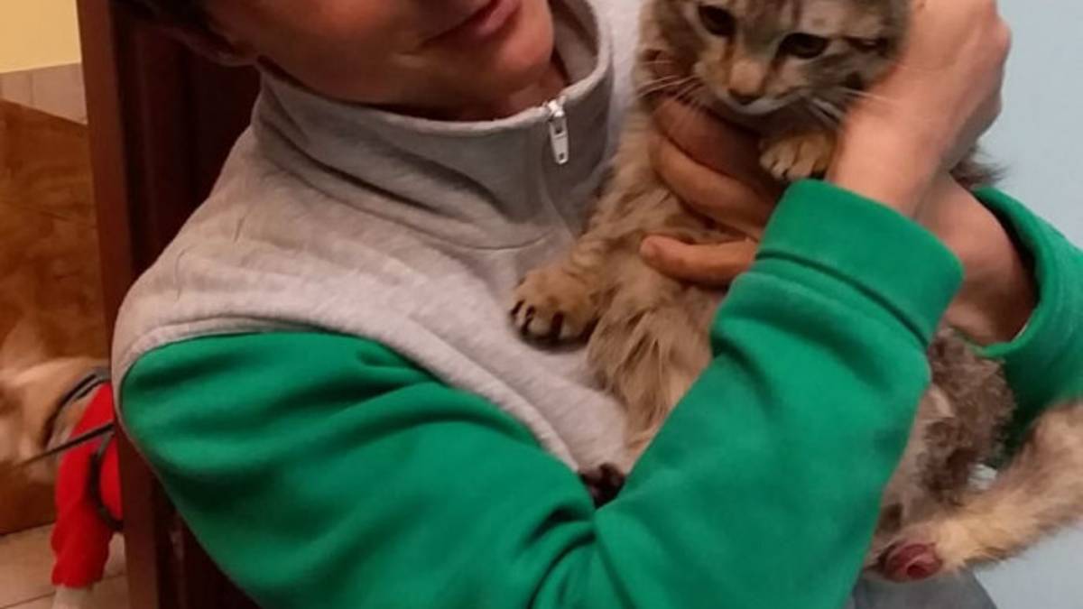 Bolle, il gatto gettato tra i rifiuti a Rimini, cammina e ora ha due mamme