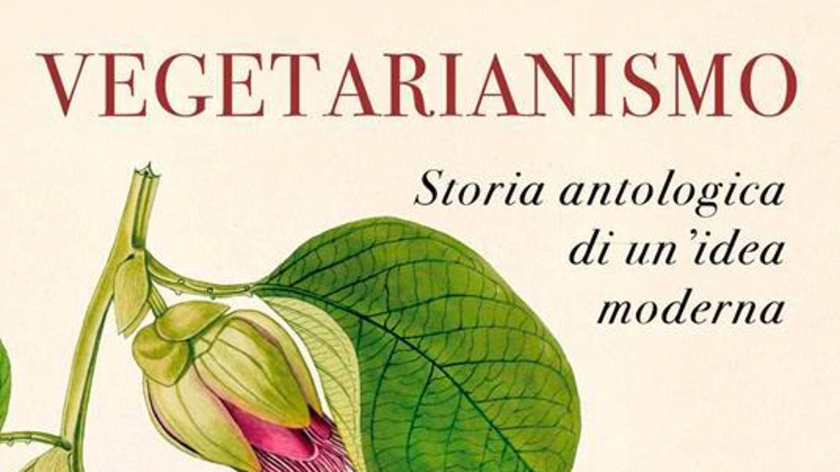 «Per capire il vegetarianismo dobbiamo scardinare ciò che pensiamo di sapere». La filosofa riminese Cecilia Muratori lo spiega domani al Lapidario