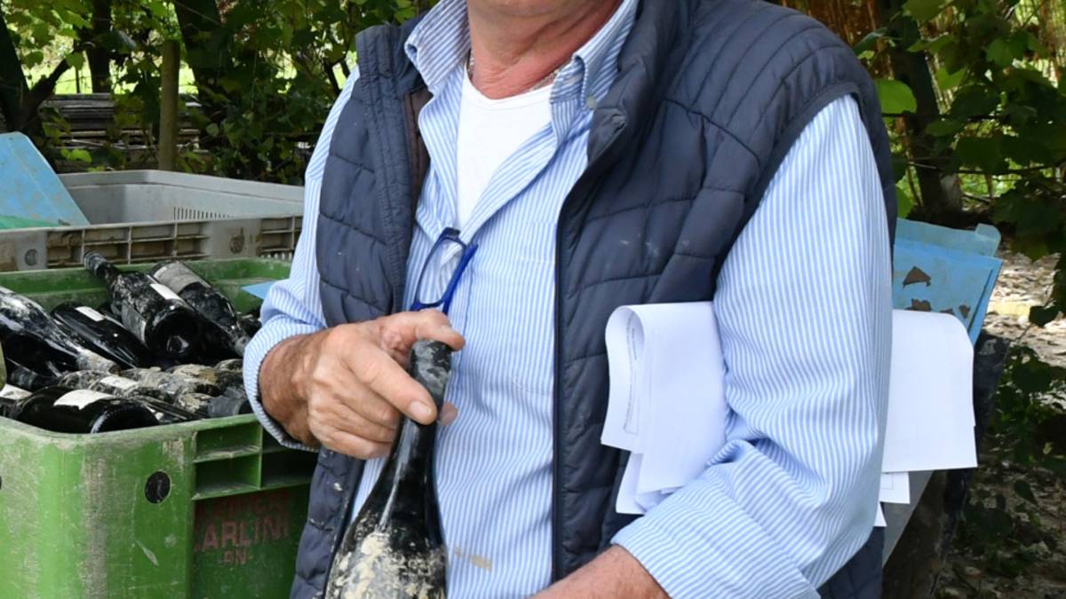 La ripartenza a Forlì. Il vino al fango Ballardini venduto anche da Cracco