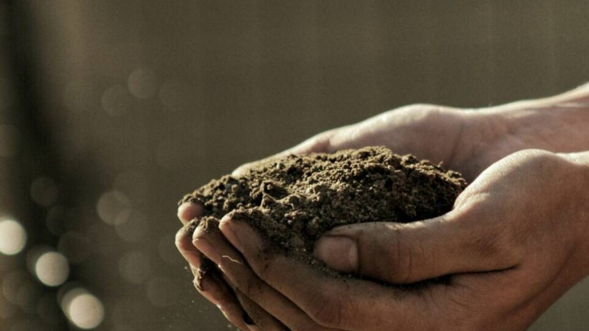 Affronte. Politica Agricola Comune, non ci siamo