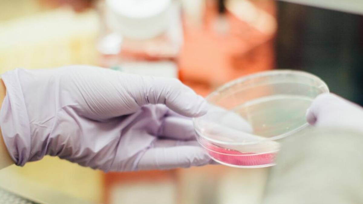 Test sierologici, positivi in quarantena e in tanti ci ripensano