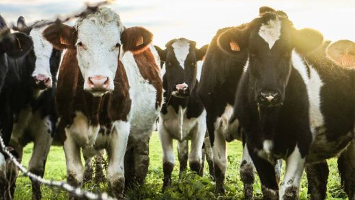 L'analisi di Affronte: cambiamenti climatici, perdiamo tempo