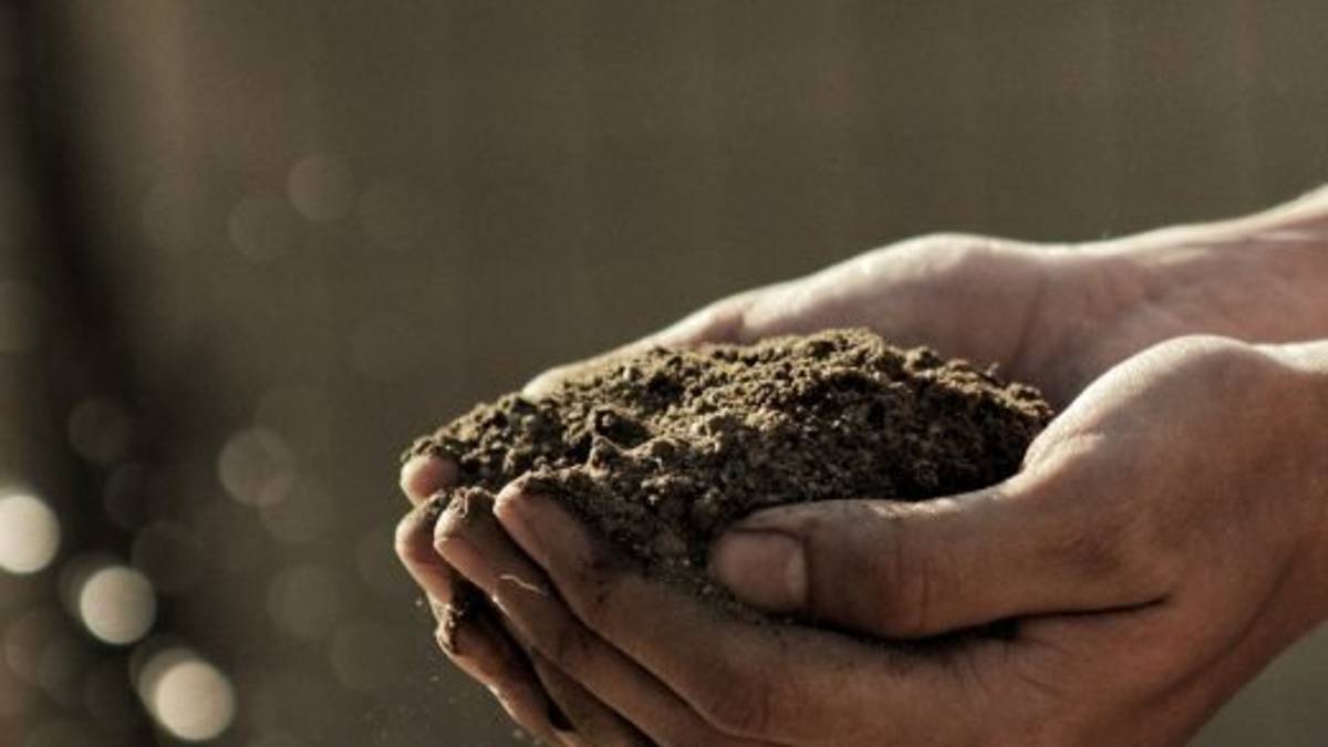 Rimini, giornata da vivere tutti nell'orto
