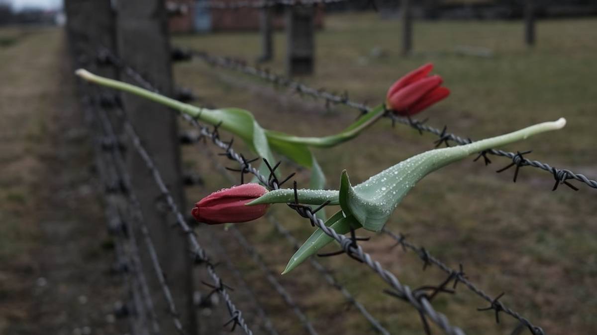Rimini. Lunedì un seminario sui crimini in Italia durante la Shoah