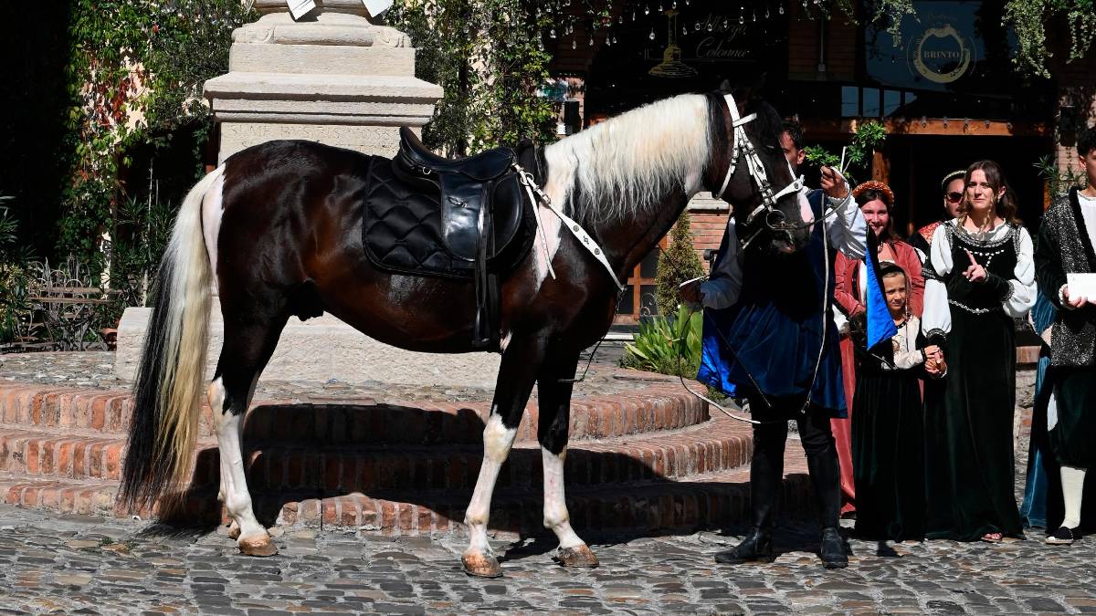 Bertinoro, rinnovato il rito dell’ospitalità FOTOGALLERY