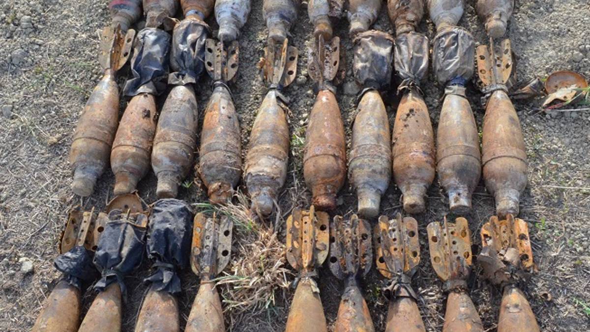 Trovate bombe e munizioni nella campagna forlivese