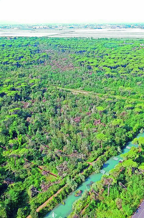 Milano Marittima, riaperto il parco naturale dopo la tromba d'aria