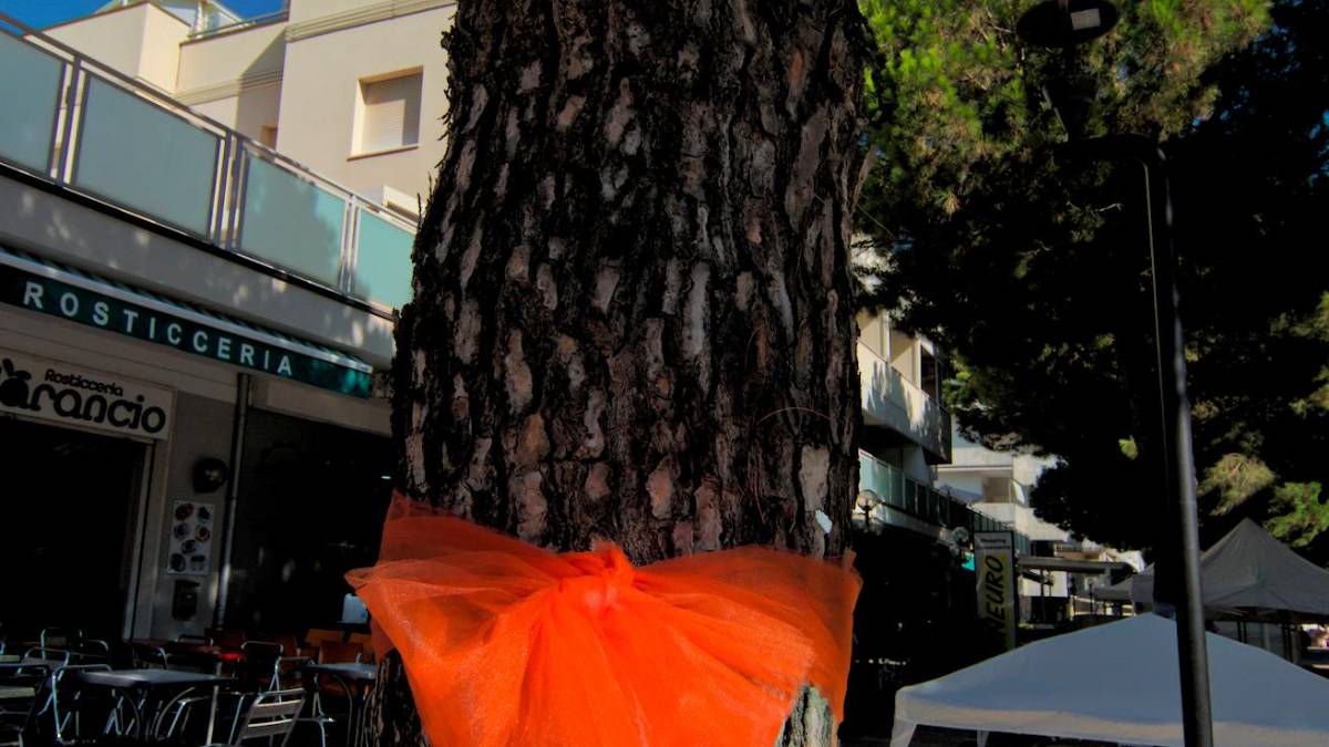 Lido di Savio, protesta in corteo per salvare i pini dall’abbattimento