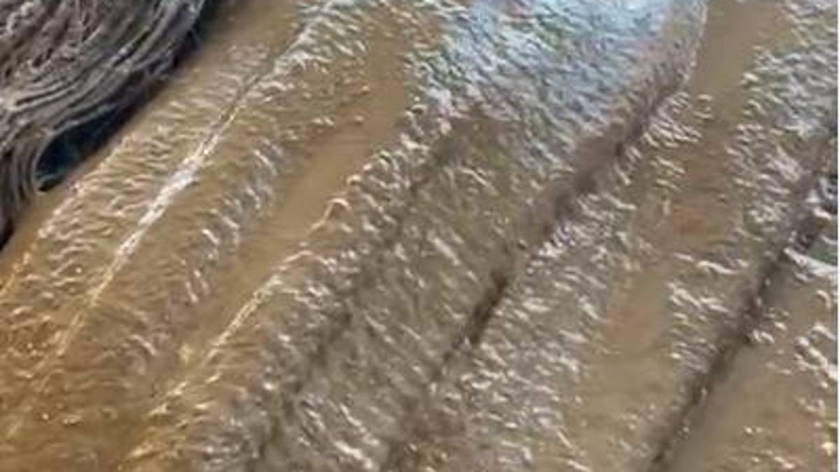 Aumentano le mucillaggini al largo, l’allarme della Cooperativa: «Pescatori rientrati a reti vuote»