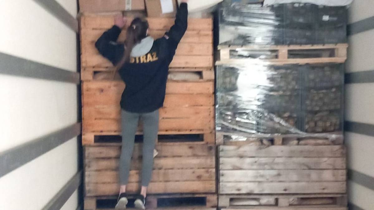 Cesena, guerra in Ucraina: la quinta spedizione della Misericordia a Leopoli VIDEO