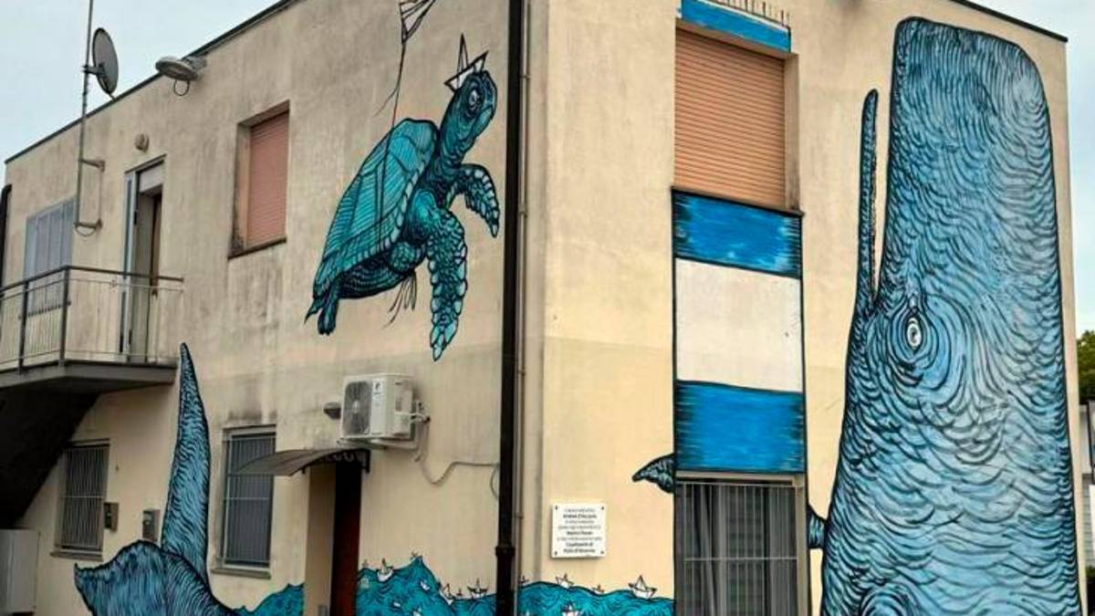 Ravenna, la tartaruga marina diventa opera d‘arte