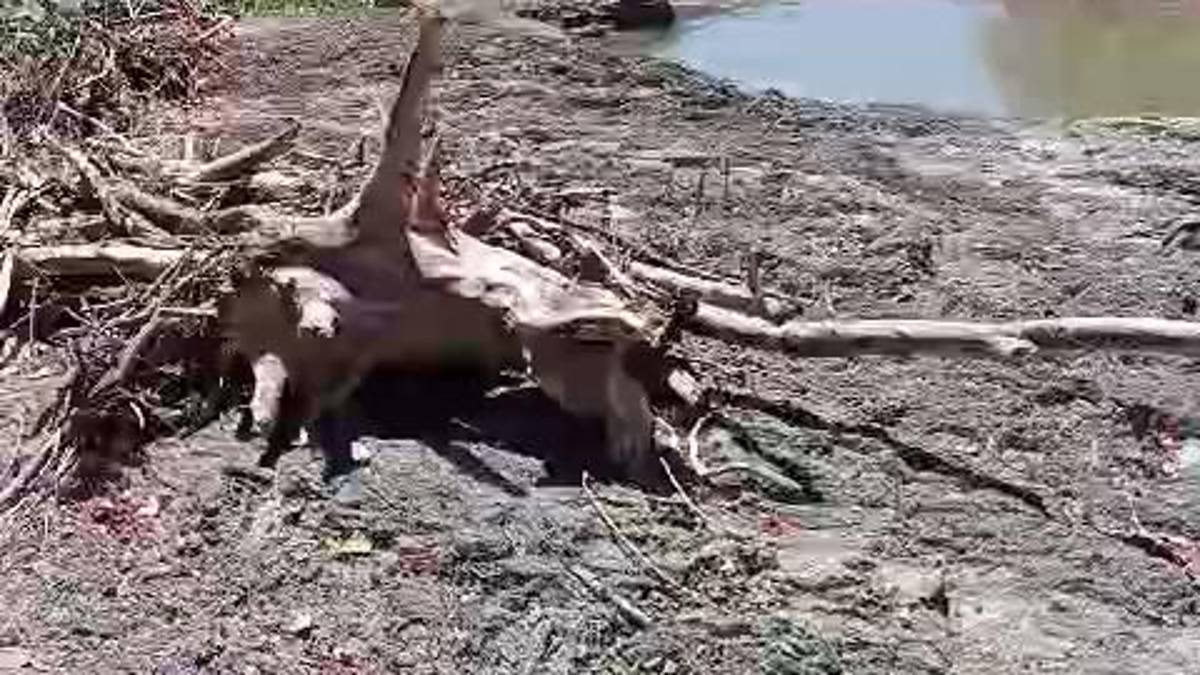 Cesena, “dopo l’alluvione, nessuno ha rimosso il fango dal torrente Borello” VIDEO