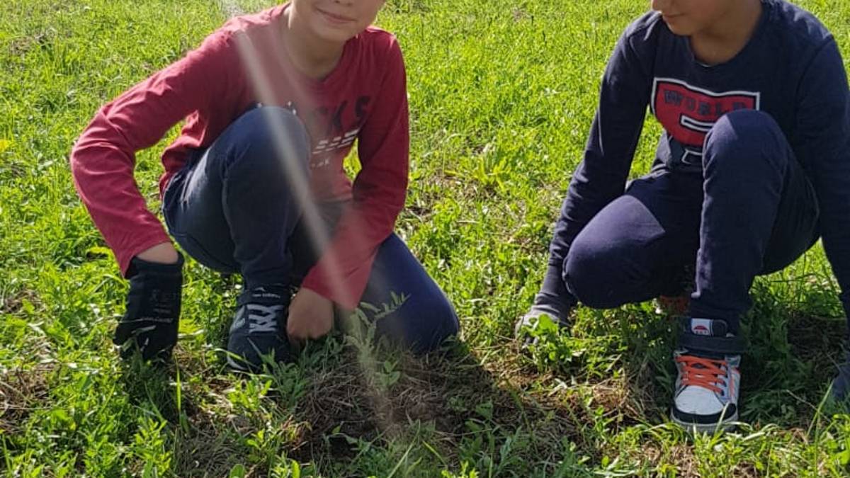 #getAltImage_v1($tempImage)