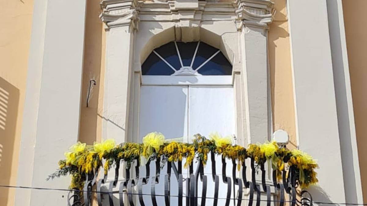 Meldola, Giornata della donna: le mimose sul balcone del municipio