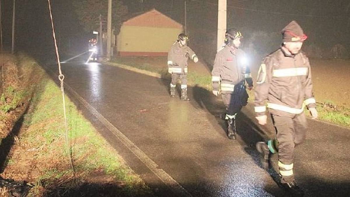 Invasione di topi a Gattolino di Cesena, carcasse rimosse aspettando l’eliminazione da oggi