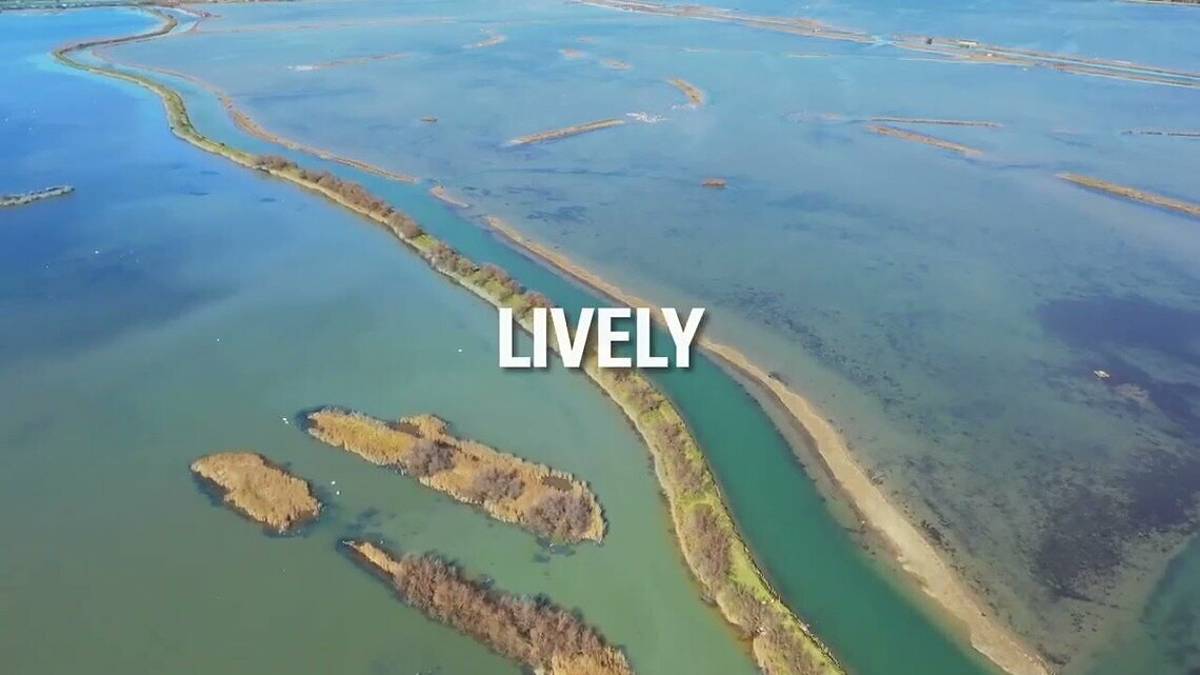 A Ravenna l'European Maritime Day 2022: le meraviglie del mare e della città