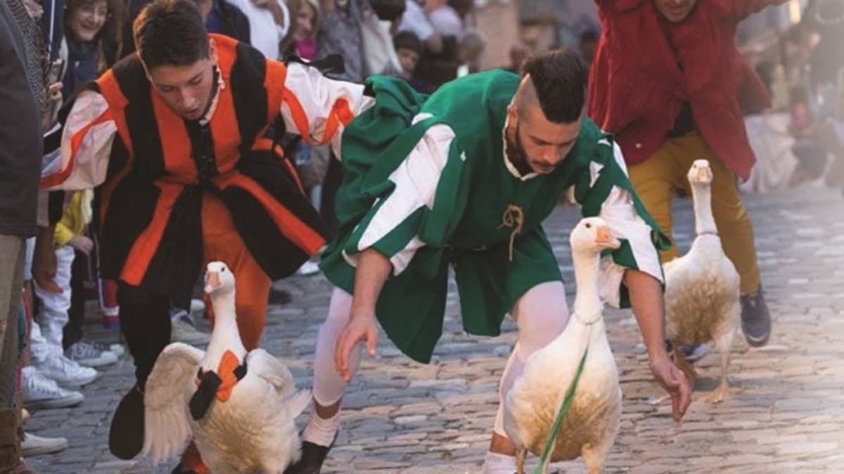 Palio del Daino, un tuffo nel medioevo a Mondaino