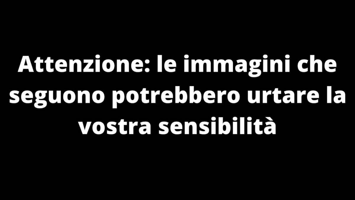 #getAltImage_v1($tempImage)