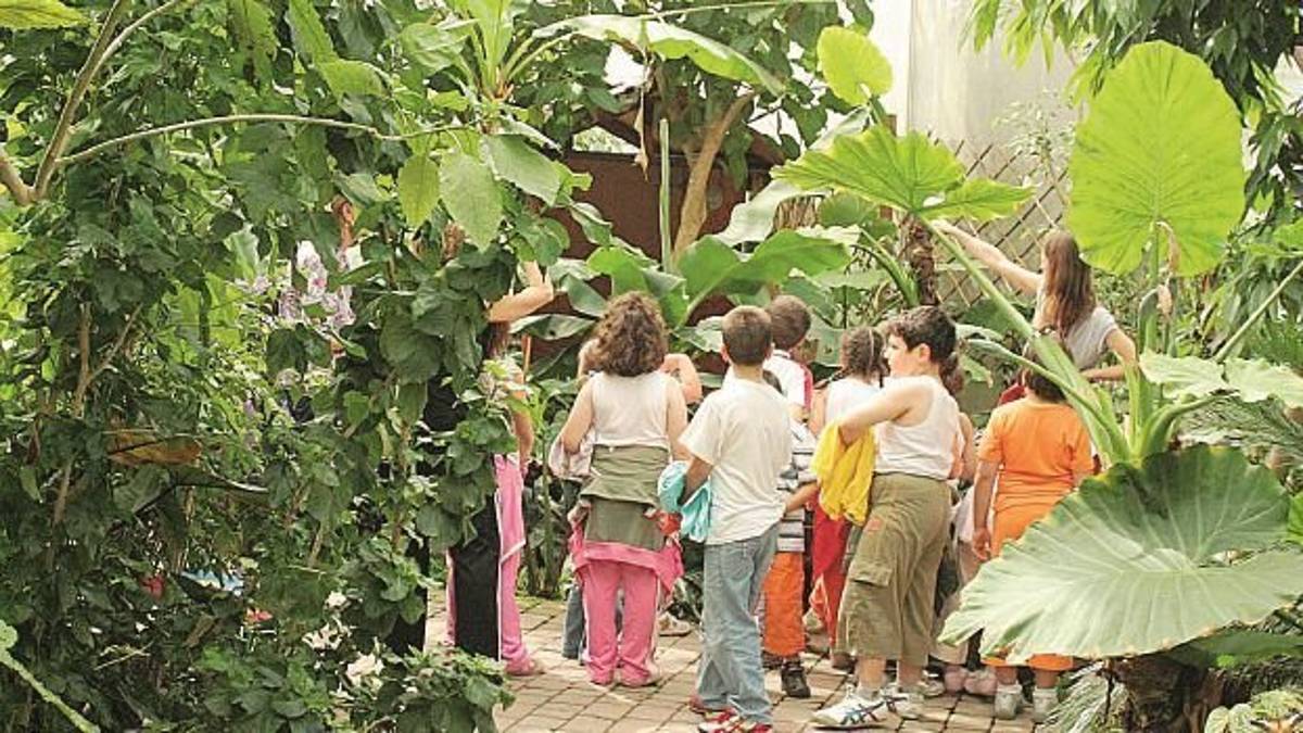 Il Comune di Cervia mette all’asta la gestione della Casa delle farfalle