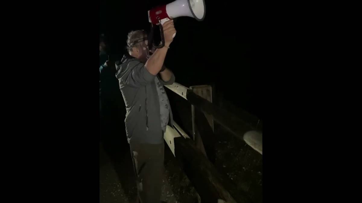 Attenti al lupo, l'ululato e il monitoraggio alle Foreste casentinesi VIDEO