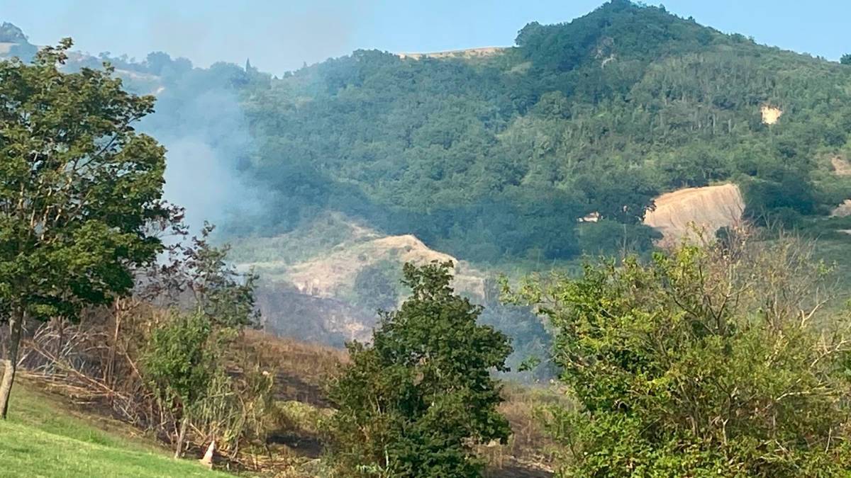 Maxi incendio tra le colline di Borello di Cesena e Gualdo di Roncofreddo spento questa mattina - VIDEO