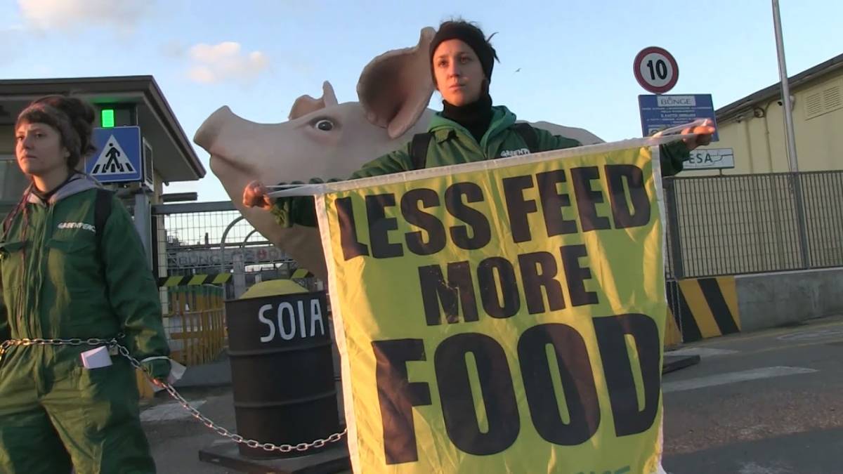 Ravenna, anche un maiale gigante nella protesta di Greenpeace alla Bunge