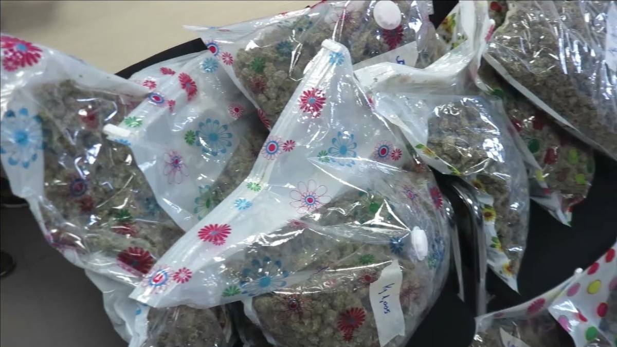 Rimini, sgominata una banda di spacciatori albanesi: 5 arresti