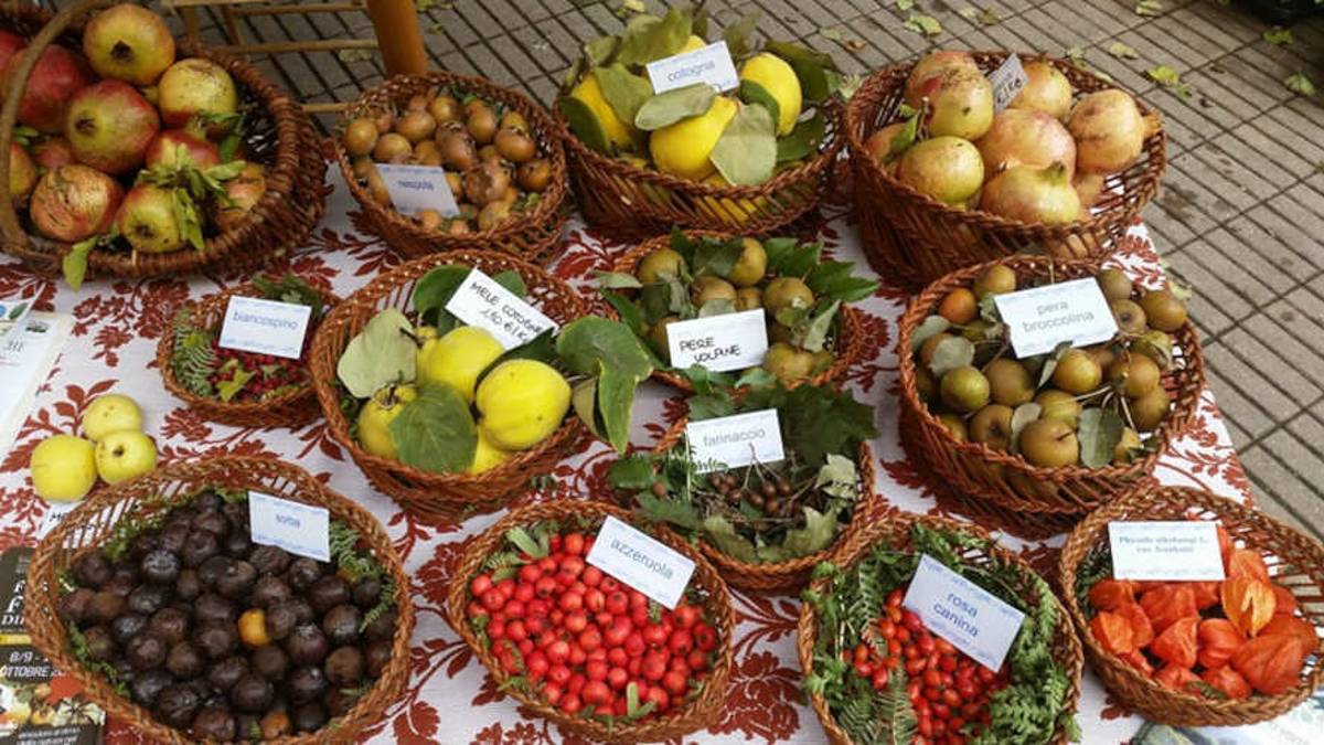 Casola, il 25 aprile la festa Cantieri per finanziare i carri