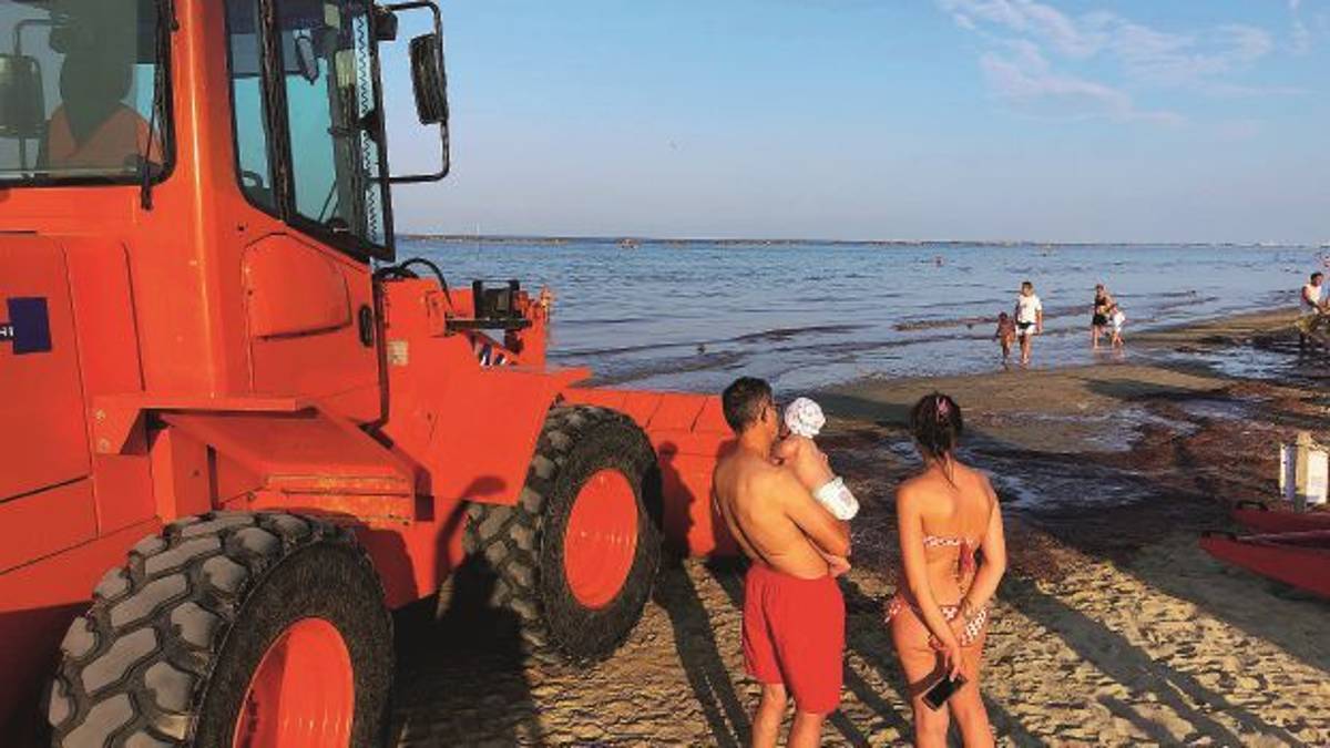 Alghe e mare, il post dell’ex dirigente Foschi scatena la bufera tra Cesenatico e Riccione