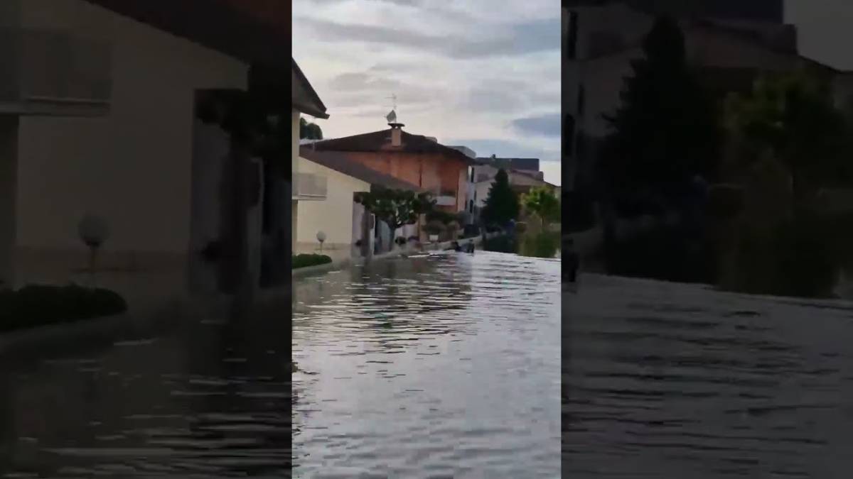 In surf lungo le strade di Cervia VIDEO