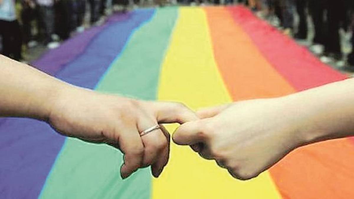 «Unioni civili, dubbi sugli emendamenti dalla maggioranza»