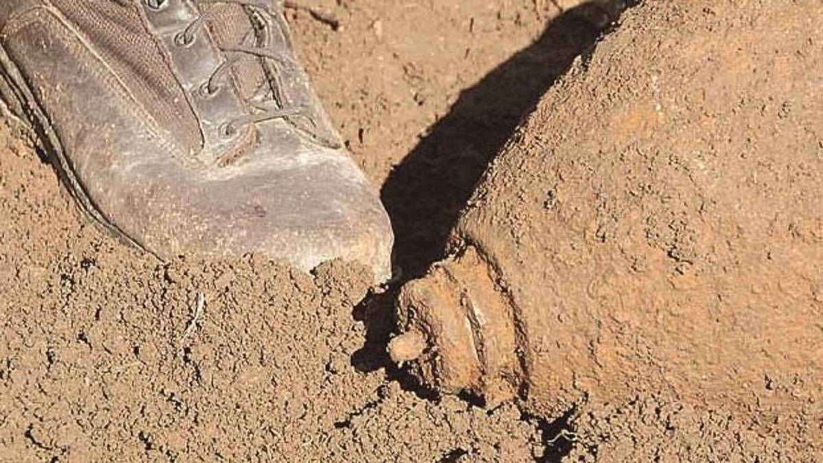 Ravenna, mercoledì 19 il disinnesco della bomba trovata a Porto Corsini