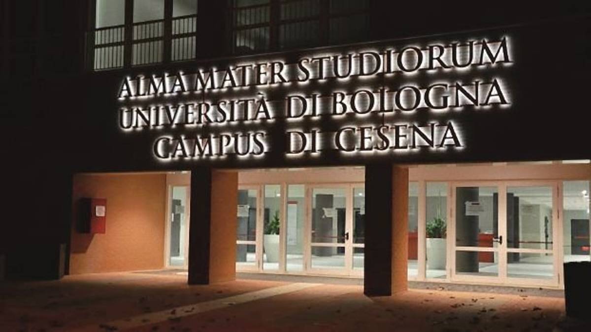 Pubblineon, la qualità paga «Al primo posto c’è il cliente»