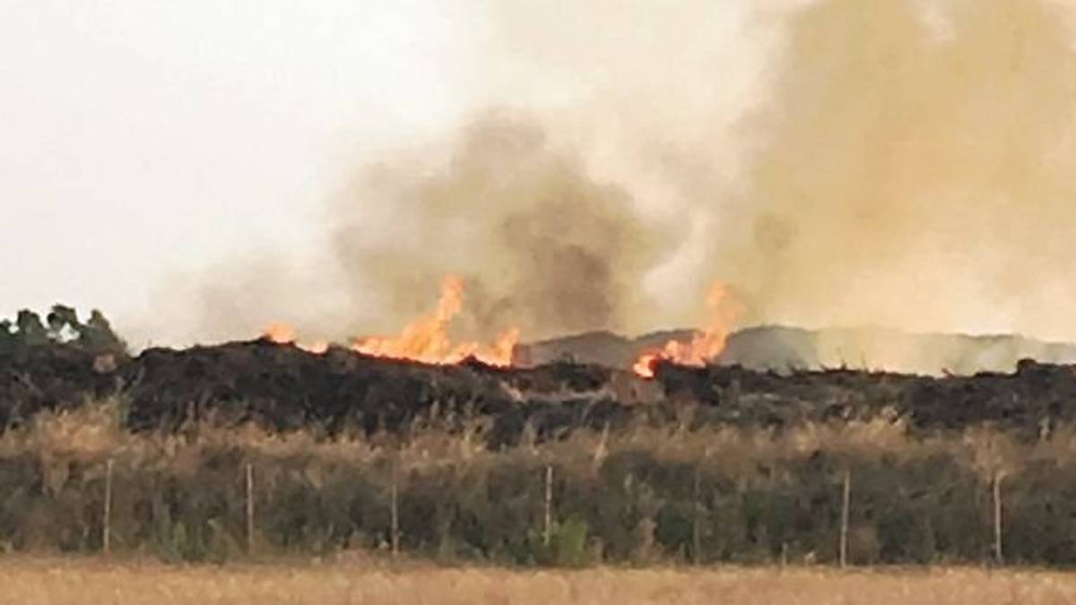 Dopo l’incendio di agosto alle porte di Faenza individuate due aree dove trasferire l’azienda di legname