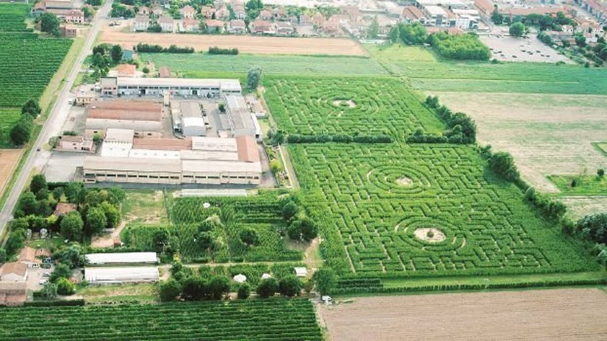 Il labirinto di Alfonsine tra i più difficili di tutto il mondo
