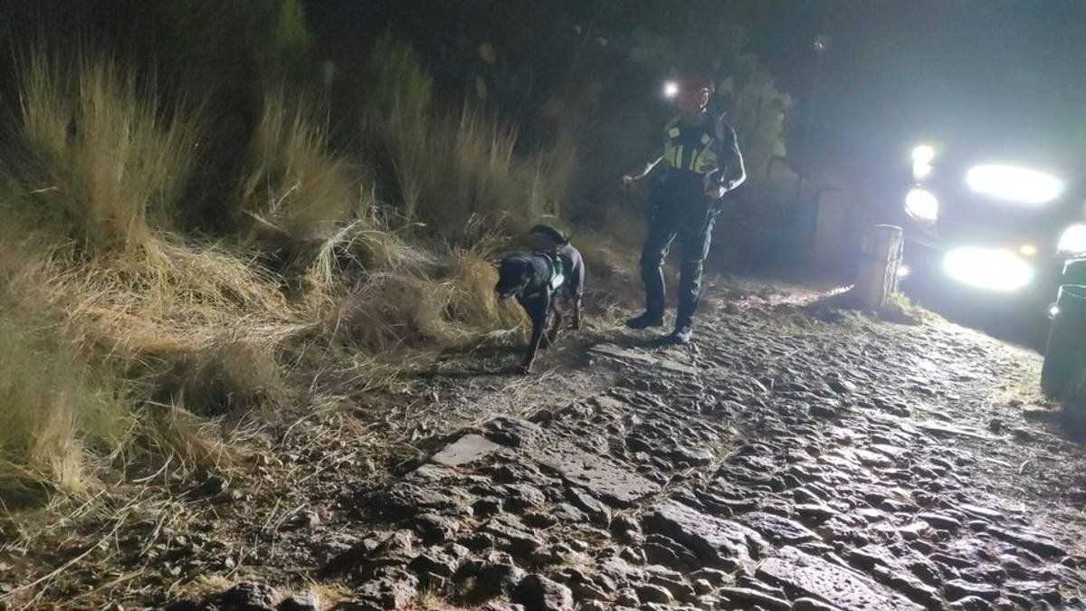 Cane addestrato a Castel San Pietro sventa un vasto incendio in Sicilia