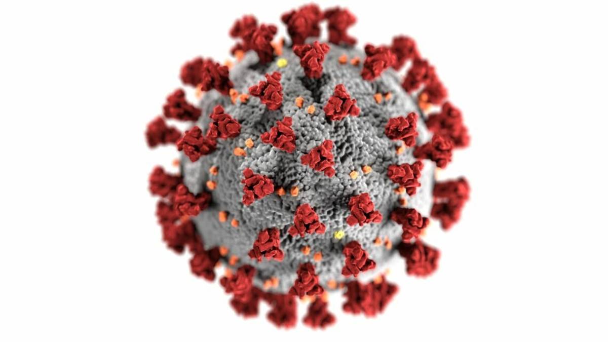 Coronavirus, a Ravenna 15 nuovi contagi, la metà con sintomi