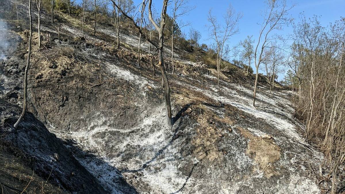 Modigliana, individuato il responsabile dell'incendio