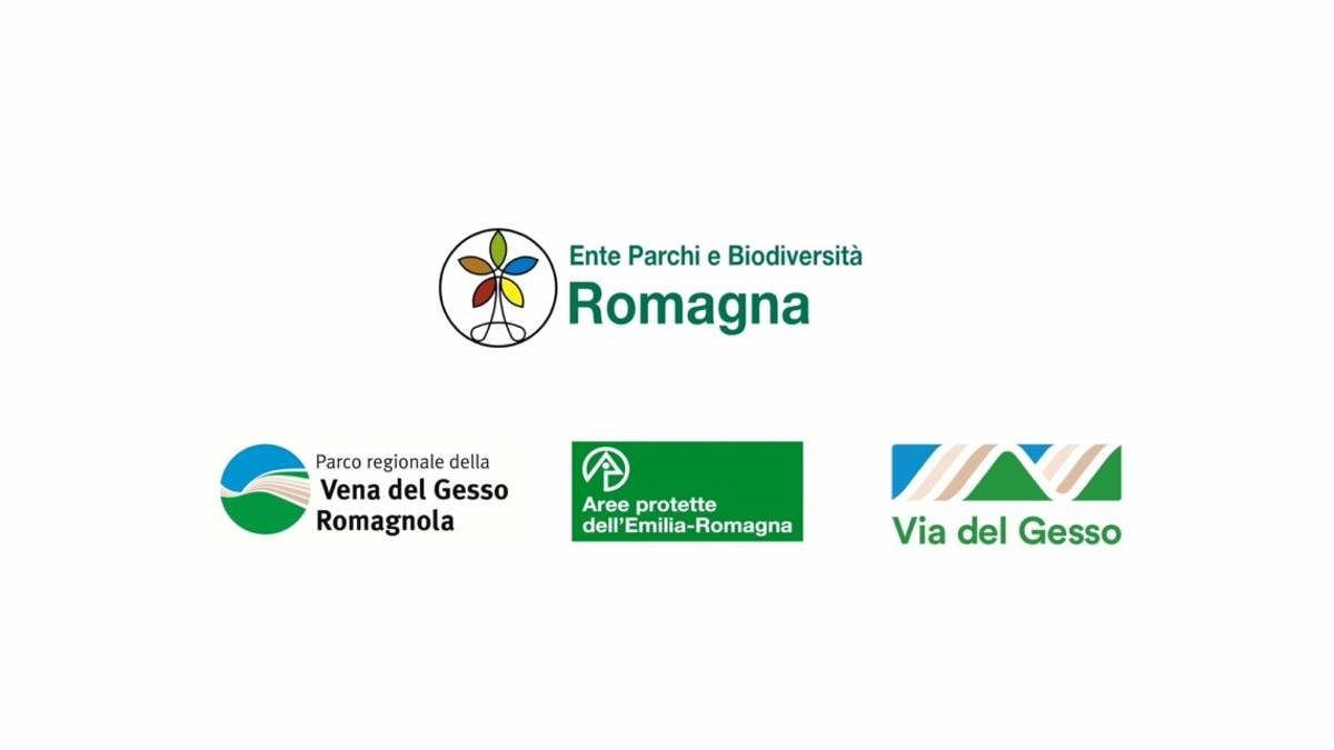 Cesena, nuovo video della coop Controvento