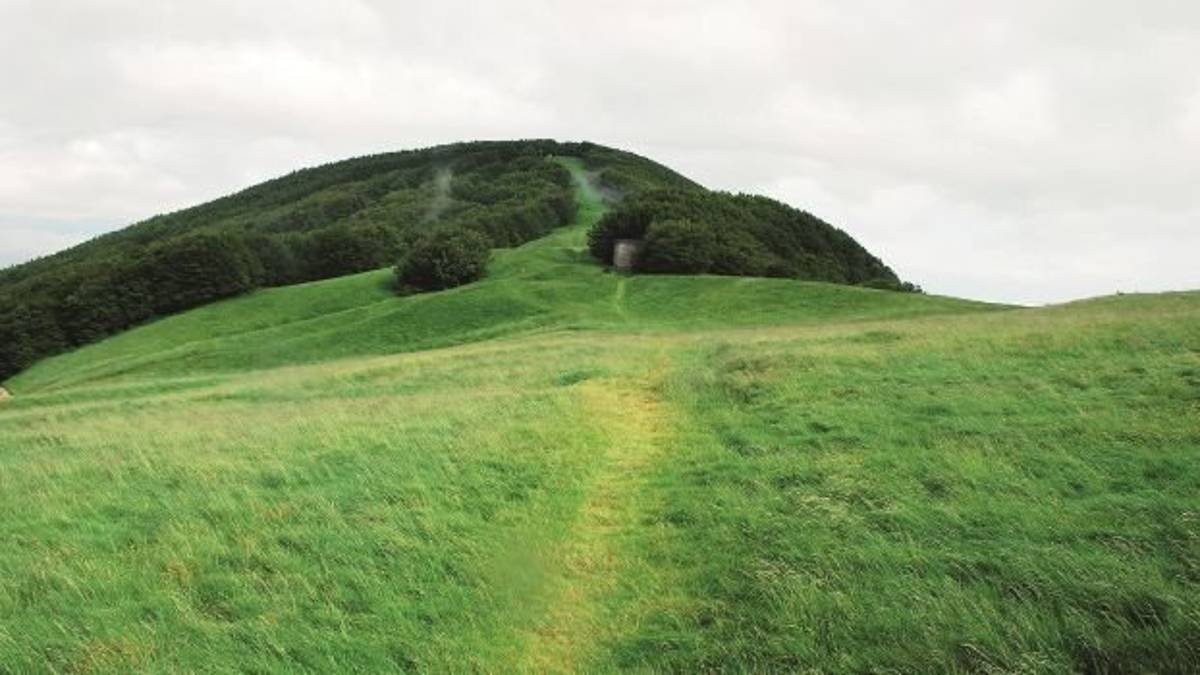 Nel selvaggio appennino