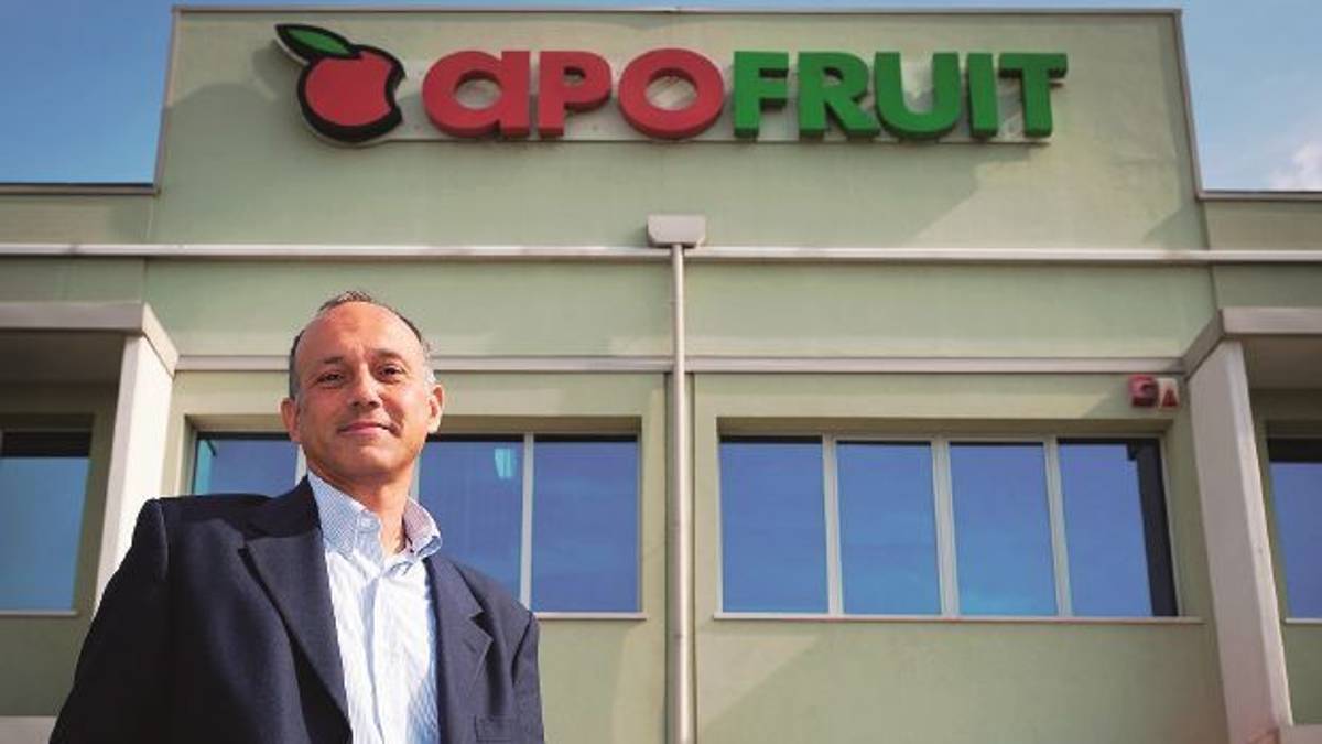 Apofruit in Calabria per una produzione di qualità