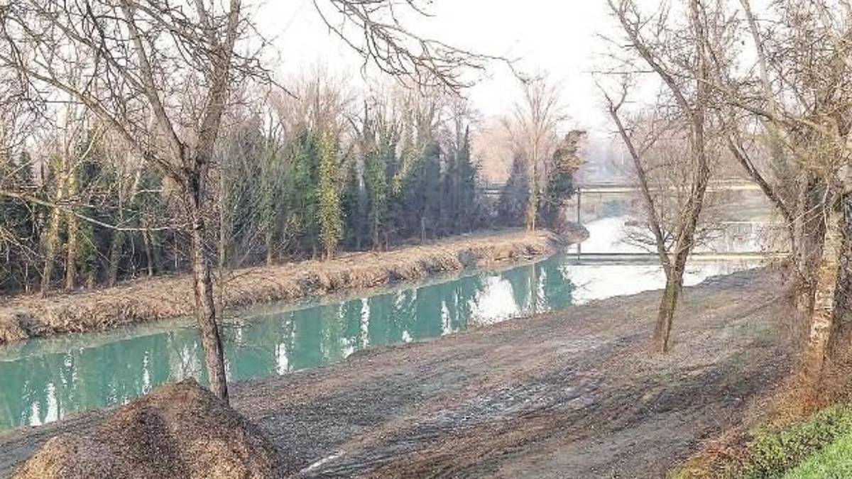Imola, allarme di Geolab per il Santerno: Lavori al limite della deforestazione