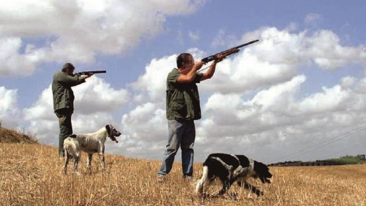Stop alla caccia nelle zone alluvionate: gli ambientalisti scrivono alla Regione Emilia-Romagna